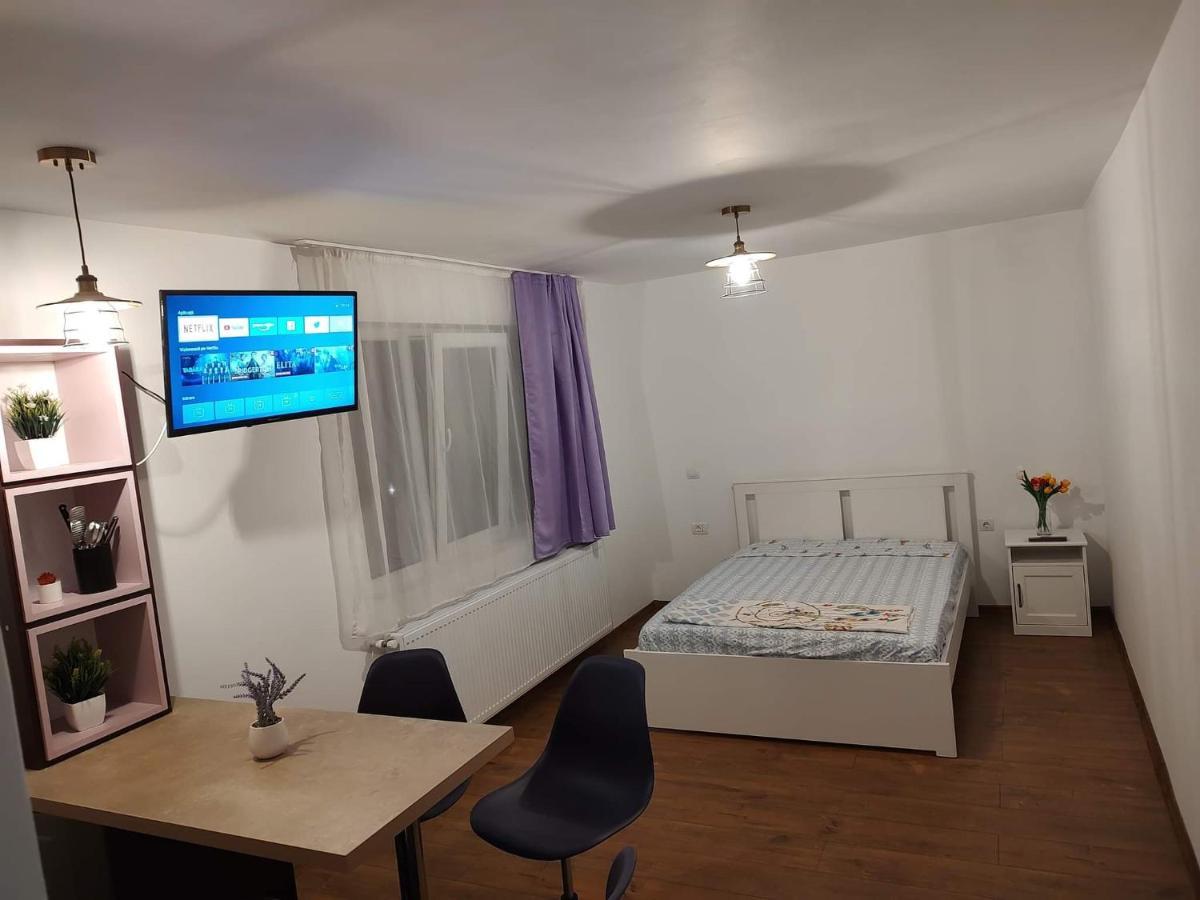 Apartamento Garsoniera Dania&Petru 1 Tîrgu Ocna Exterior foto